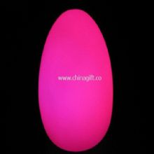 Egg color light China