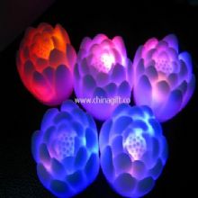 big led lotus China