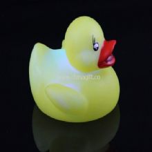 Light-emitting duck China