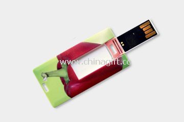 Mini card usb flash drive