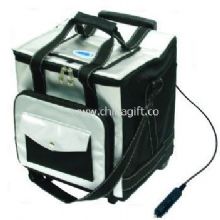 Thermoelectric soft bag cooler 32Litre China