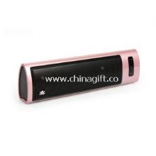 Portable Mini Speaker with SD,UDISK China