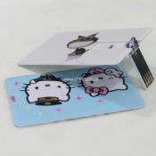 Credit Card USB flash drive