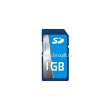 1GB SD Card China