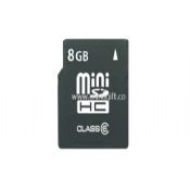 8GB Mini SD Card