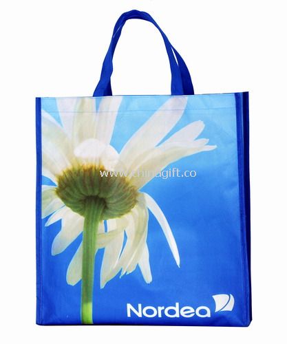 PET non-woven Bag