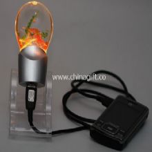 Night Light with USB charger China