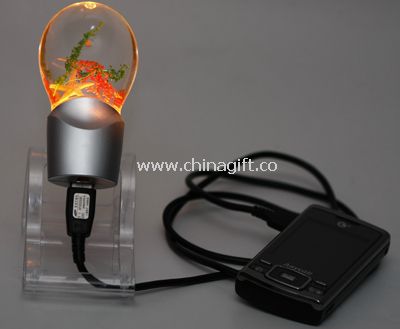 Night Light with USB charger