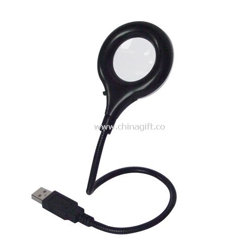 USB Light with magnifier