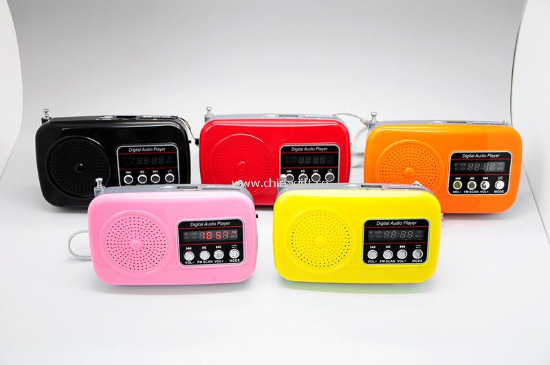 Digital audio player with fm radio