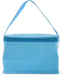 Small Non Woven Cooler Bag images