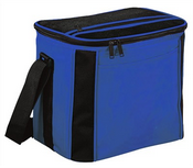 Esky Style Cooler Bag images
