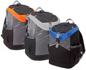 Trendy Cooler Backpack images