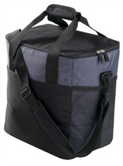 Trendy Cooler Bag images