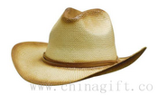 Gespritzte Cowboy Stroh images