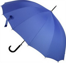 Zara Umbrella images