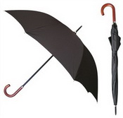 Parapluie en bois de l&#39;exécutif images