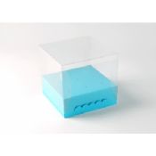 Transparent Green Plastic Packaging Boxes images