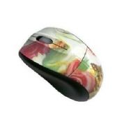 Painting Optical Mouse images