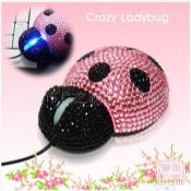 Diamond ladybug mouse images