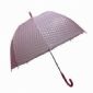 23-Zoll X 8 K Transparent Regenschirm mit automatisch ÷ffnen small picture