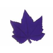 Stylish Leaf Shape Car Non-Magnetic Sticky Pads For Cell Phone images