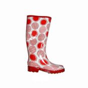 Wellington Boots images