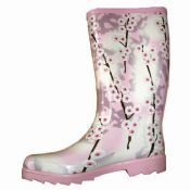 Wellington Boots images