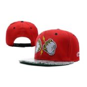 Nueva tierra taylor Snapbacks images