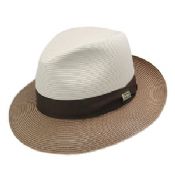 Chapeaux pour hommes images