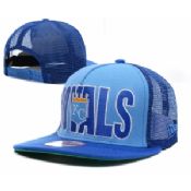 Kansas City Royals chapéus images