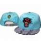 Penrith Panthers Hats small picture