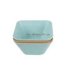 750ml Bamboo Square Salad bowl images