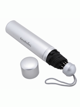 Mini Fold-Up Umbrella