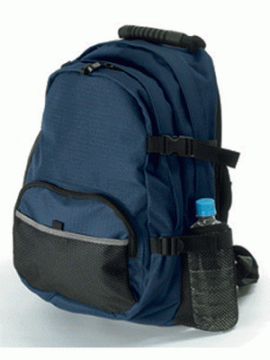 Road Warrior IT Laptop Backpack