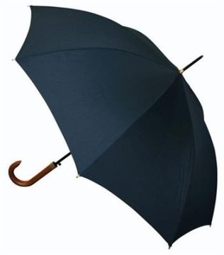 Rozlišující deštník