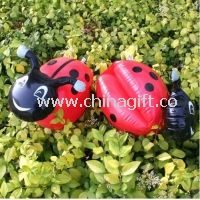 Tiere Form Wasser Wing