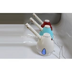 Ionic Portable Facial Steamer