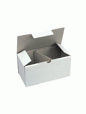 Coffee Mug Box 2 Pack White