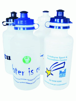 500ml Fliptop Drink Bottles