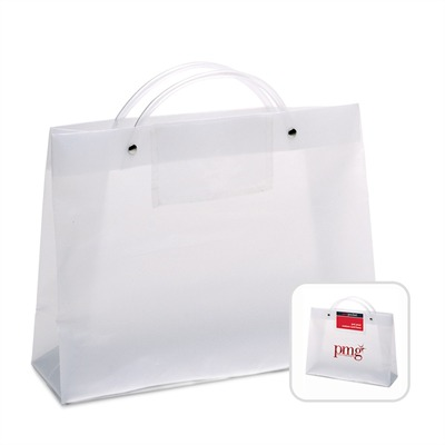 Aries Plastic Frosted Bag