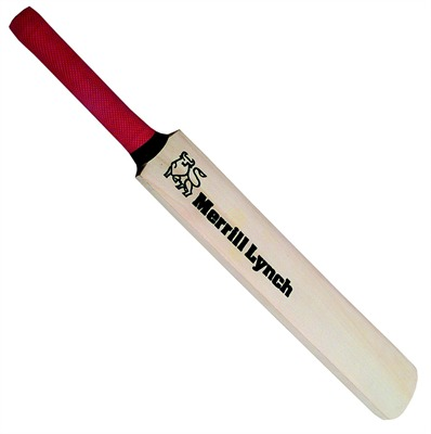 Miniature Cricket Bat