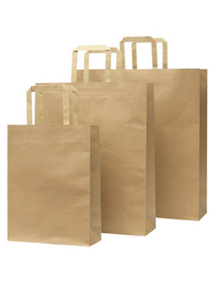 Paper bag - Large