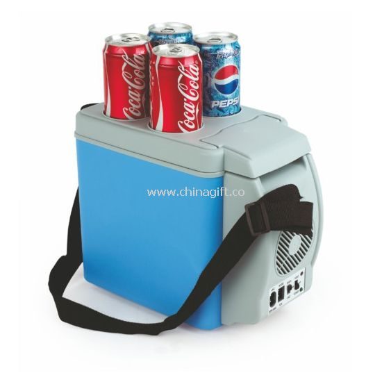 Auto cooler box