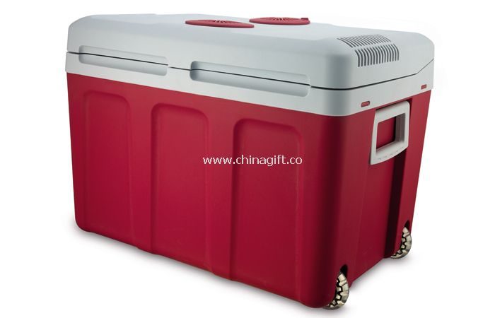 Thermoelectric Cooler