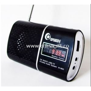 Radio speaker with multi color optional