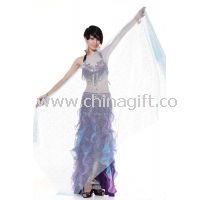 Glittering Belly Dance Practice Wear / Veil