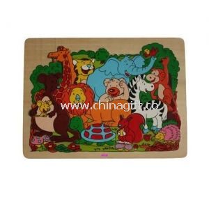 Puzzle Toy