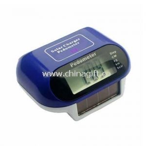 Digital Pedometer