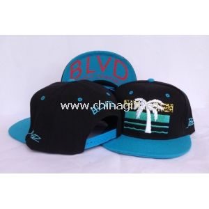 Newest BLVD Snapback caps